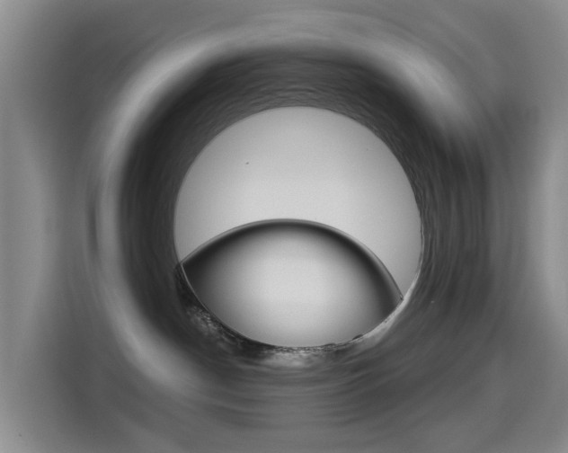 X0000114550190200910190959