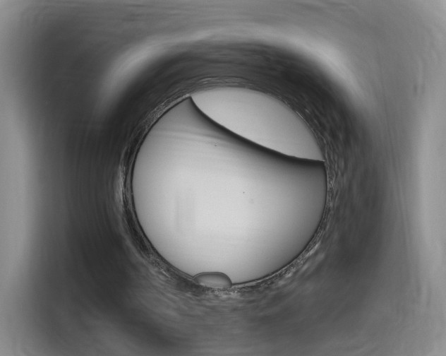 X0000114550194200910190958