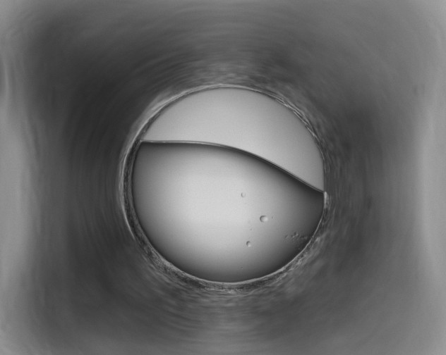 X0000114550195200910190958
