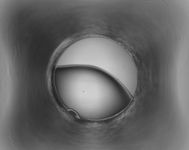 X0000114550197200910190958