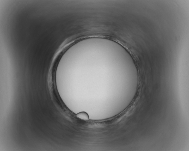 X0000114550198200910190958