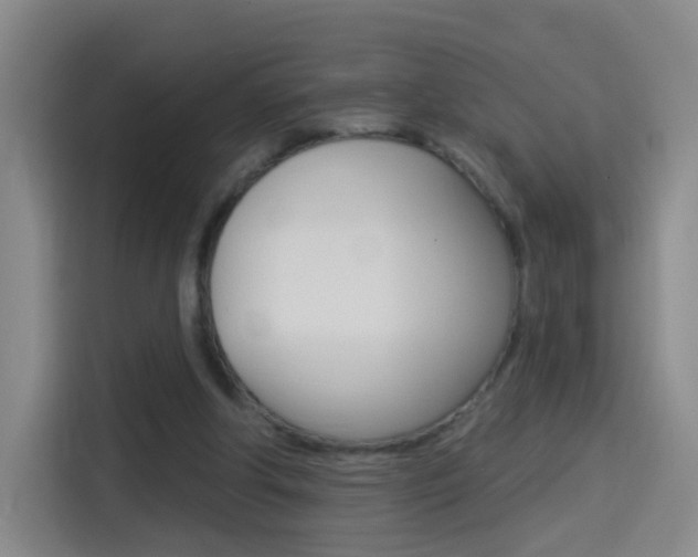 X0000114550202200910190958