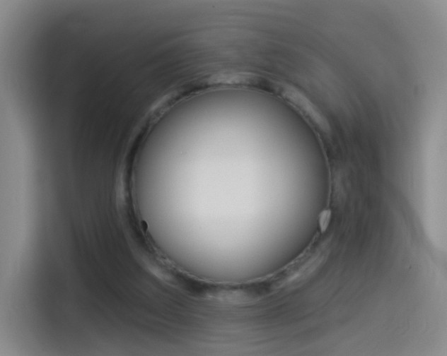 X0000114550203200910190958