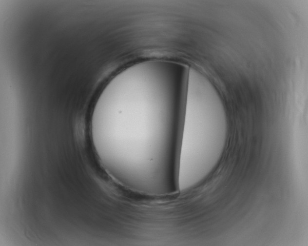 X0000114550204200910190958