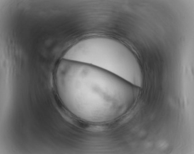 X0000114550205200910190958