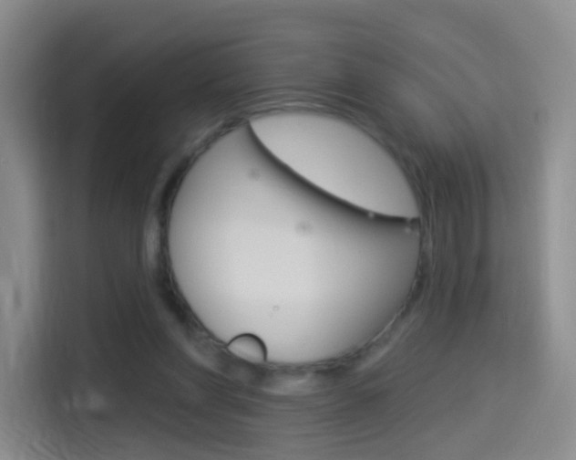 X0000114550206200910190958