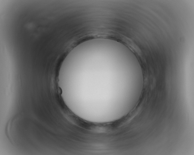 X0000114550209200910190958