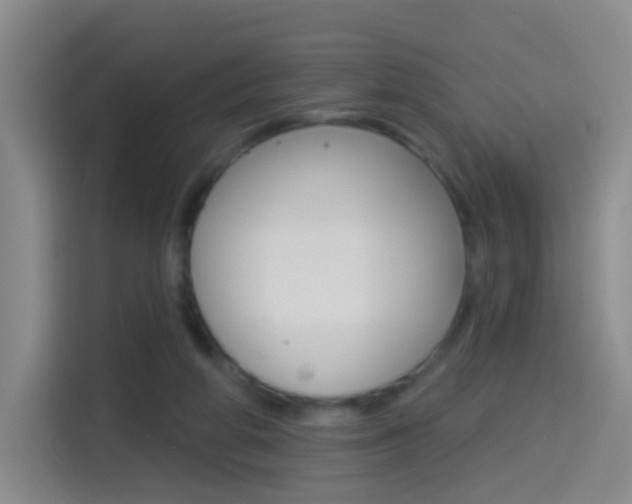 X0000114550210200910190958