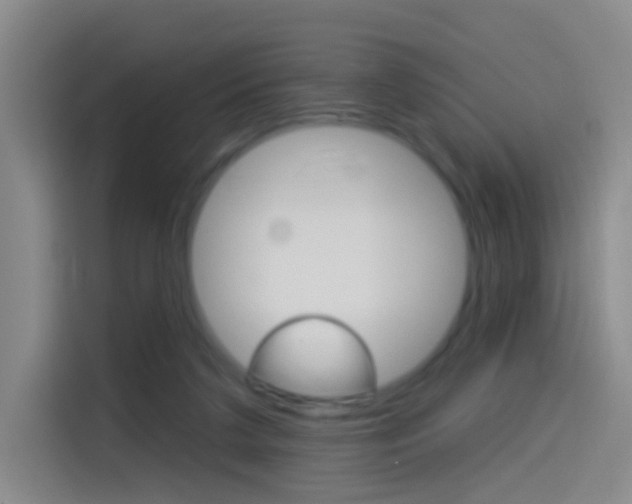 X0000114550211200910190958