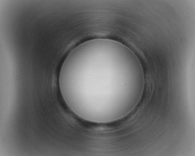 X0000114550212200910190958