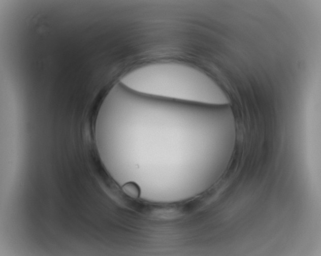 X0000114550213200910190958