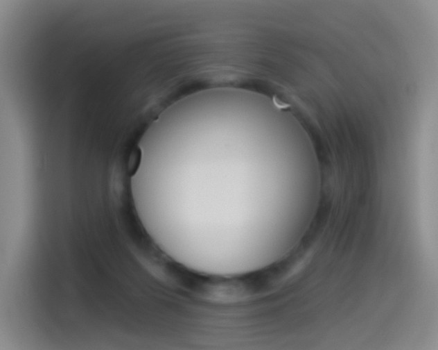 X0000114550215200910190958