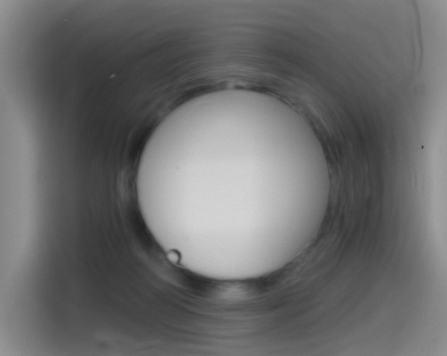 X0000114550218200910190958