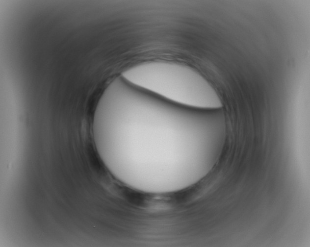 X0000114550222200910190958