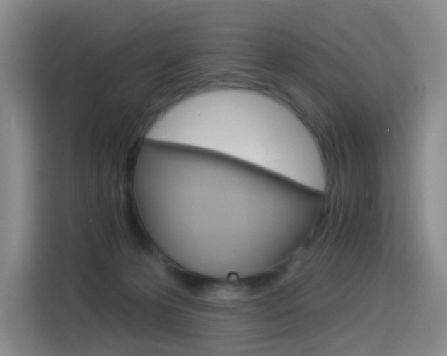 X0000114550223200910190958