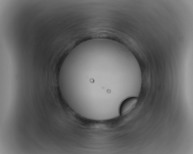 X0000114550224200910190958