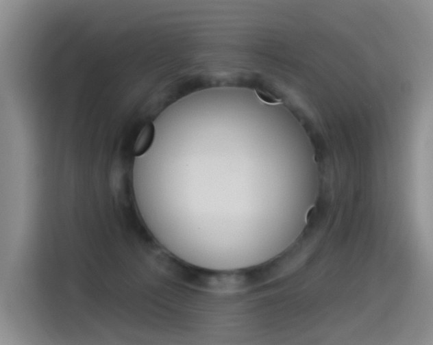 X0000114550225200910190958