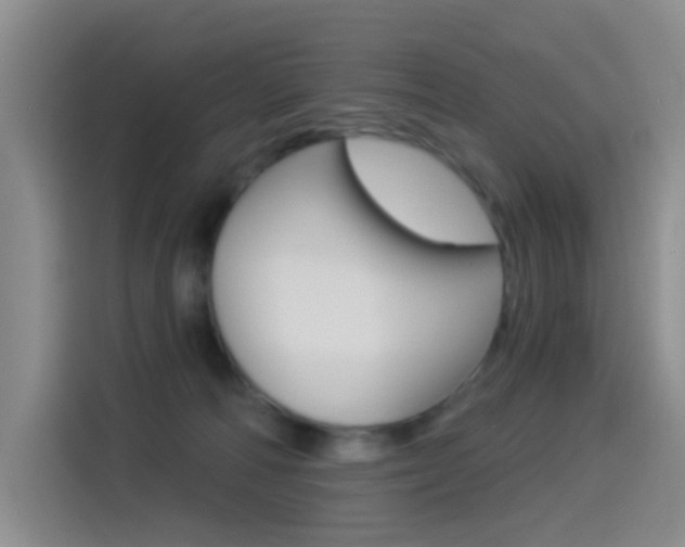 X0000114550226200910190958