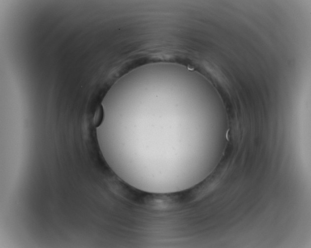 X0000114550229200910190957