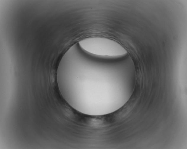X0000114550232200910190957