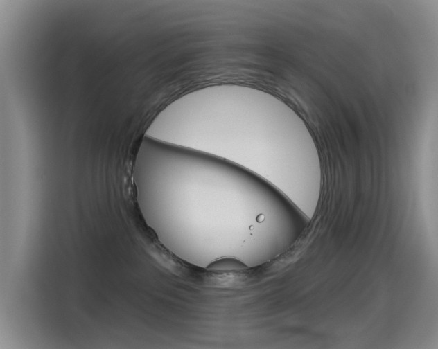 X0000114550237200910190957