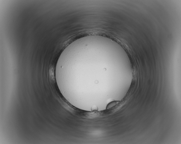 X0000114550238200910190957