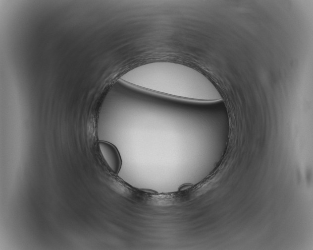 X0000114550240200910190957
