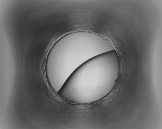 X0000114550241200910190957