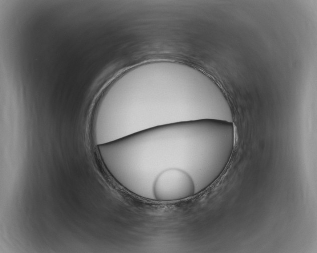 X0000114550243200910190957