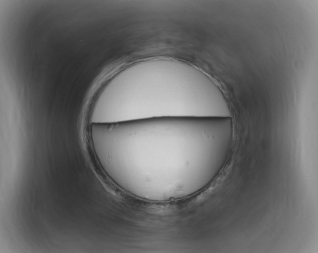 X0000114550245200910190957