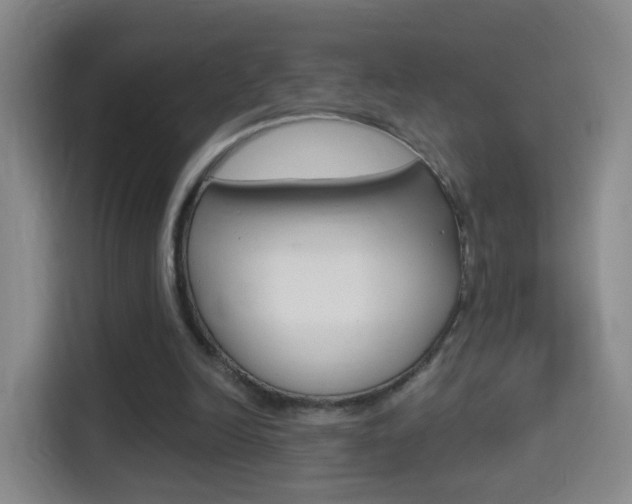 X0000114550246200910190957