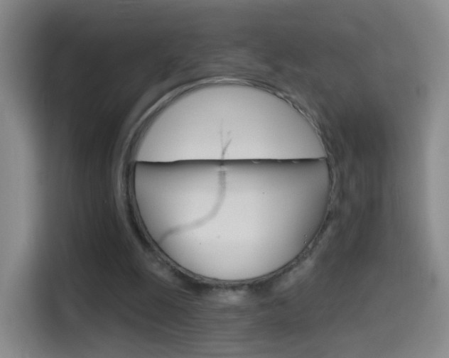 X0000114550247200910190957
