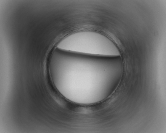 X0000114550250200910190957