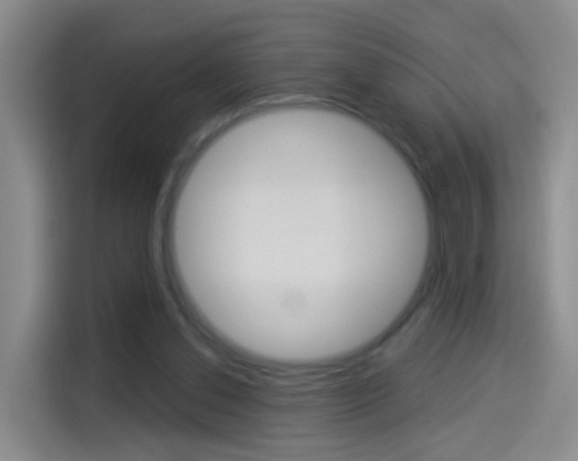 X0000114550252200910190957