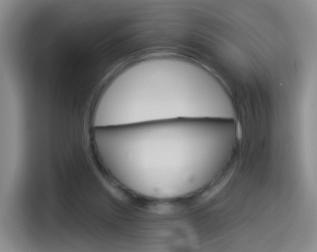 X0000114550253200910190957
