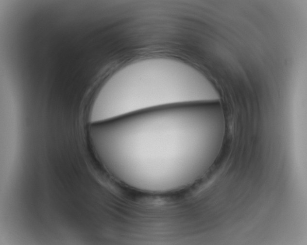 X0000114550254200910190957