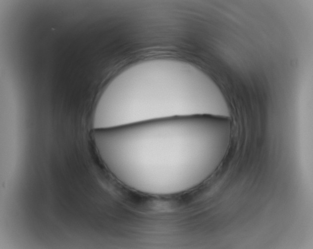 X0000114550255200910190957