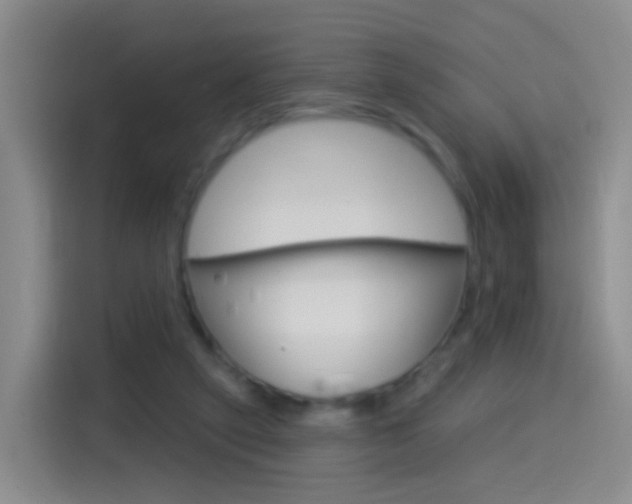 X0000114550257200910190957