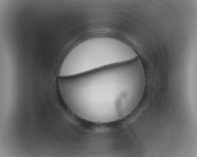X0000114550258200910190957
