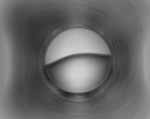 X0000114550260200910190957