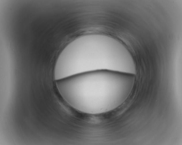 X0000114550261200910190957
