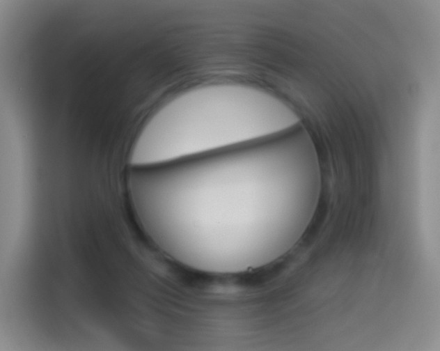 X0000114550262200910190957