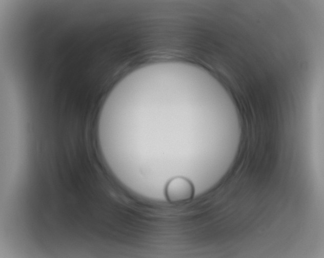 X0000114550264200910190957