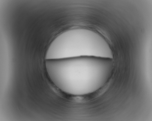 X0000114550265200910190957