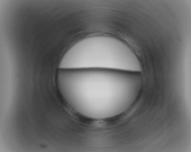 X0000114550269200910190957