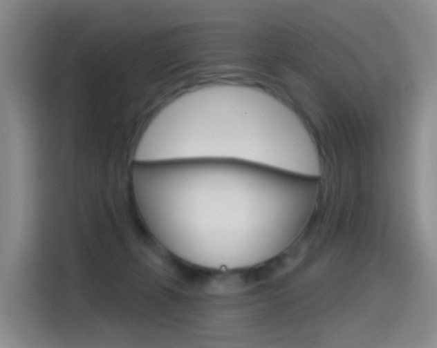 X0000114550271200910190957