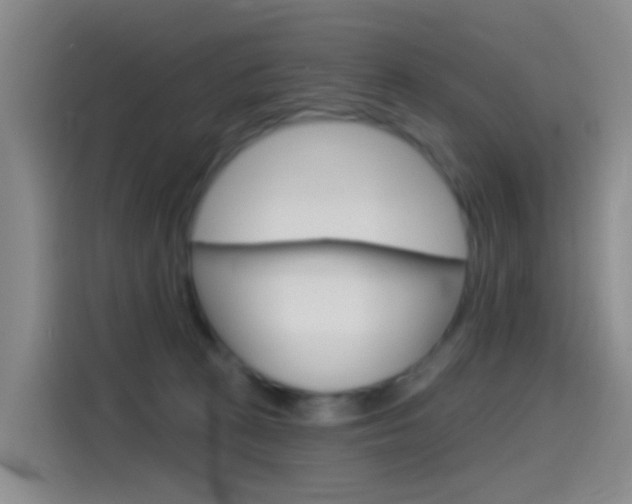 X0000114550273200910190957