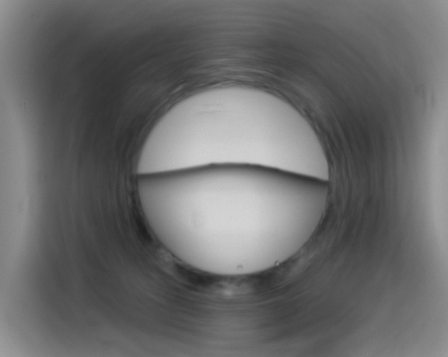 X0000114550275200910190957
