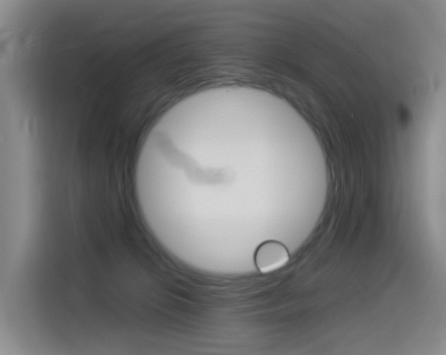 X0000114550276200910190957