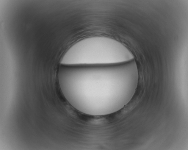 X0000114550278200910190957
